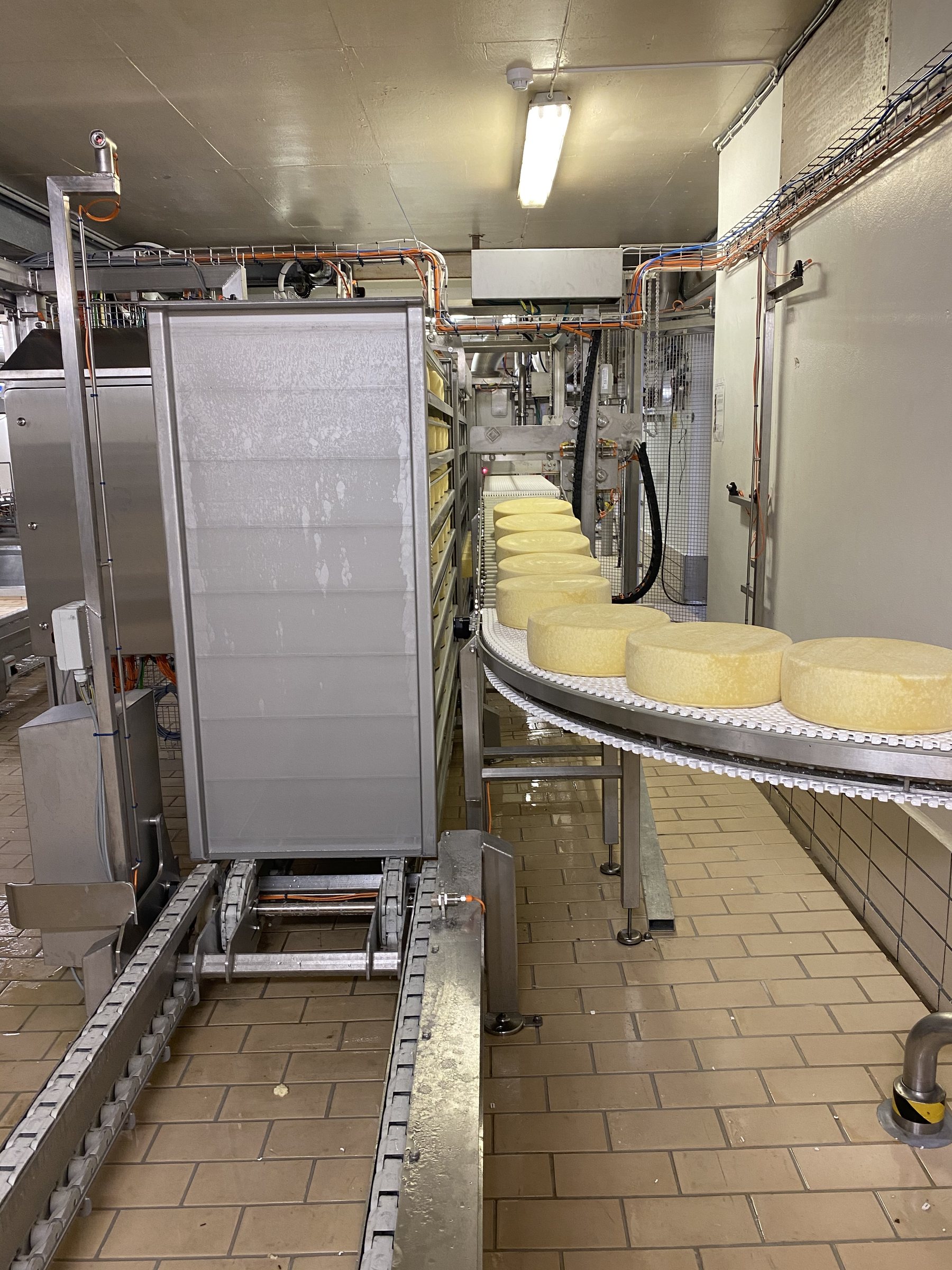 Förderband für Käse.
