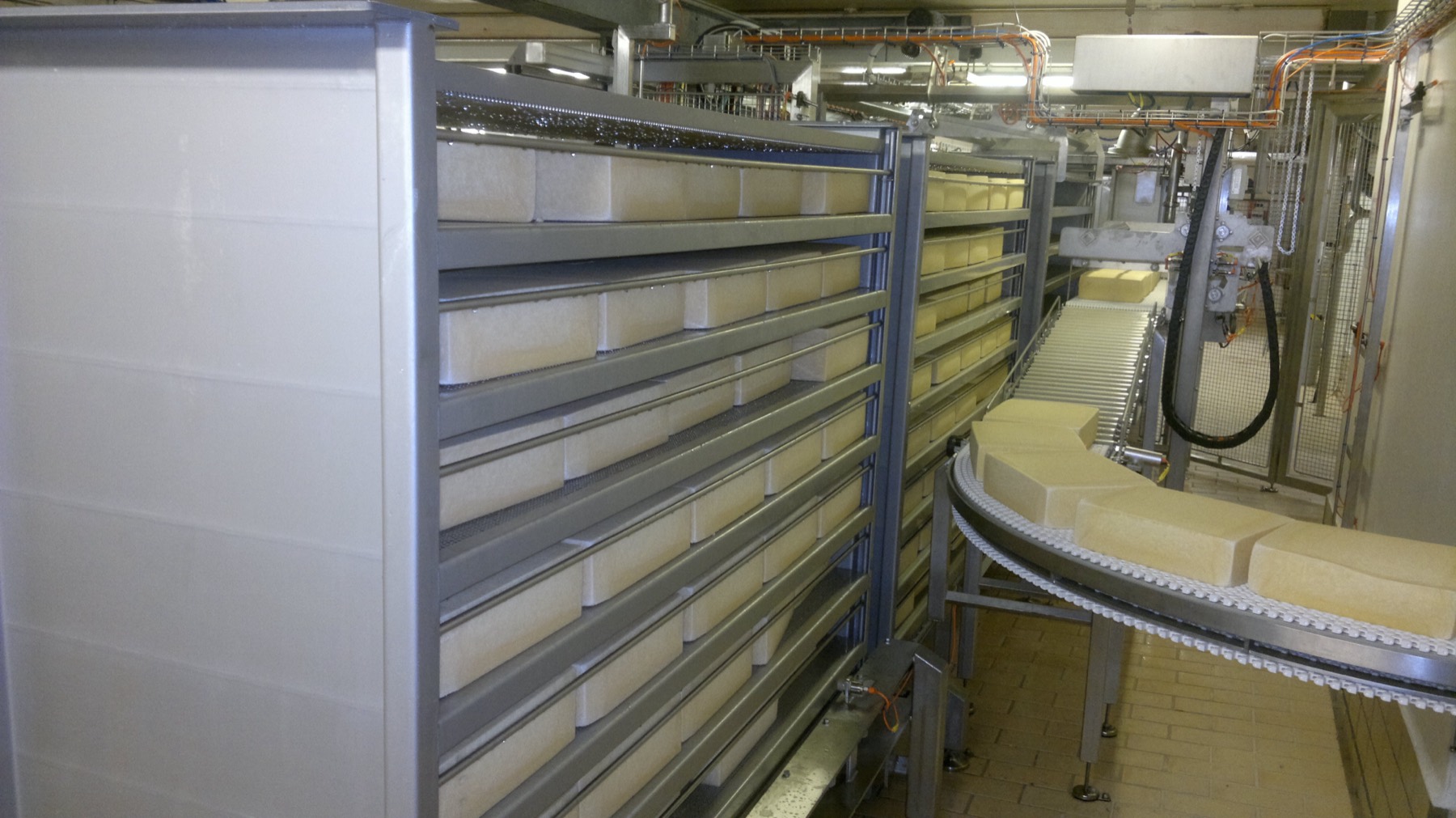 Racks and conveyor belts in an existing ripening room.